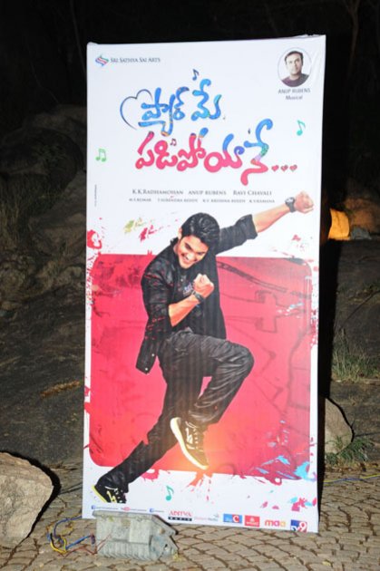 Pyaar-Mein-Padipoyane-Audio-Launch